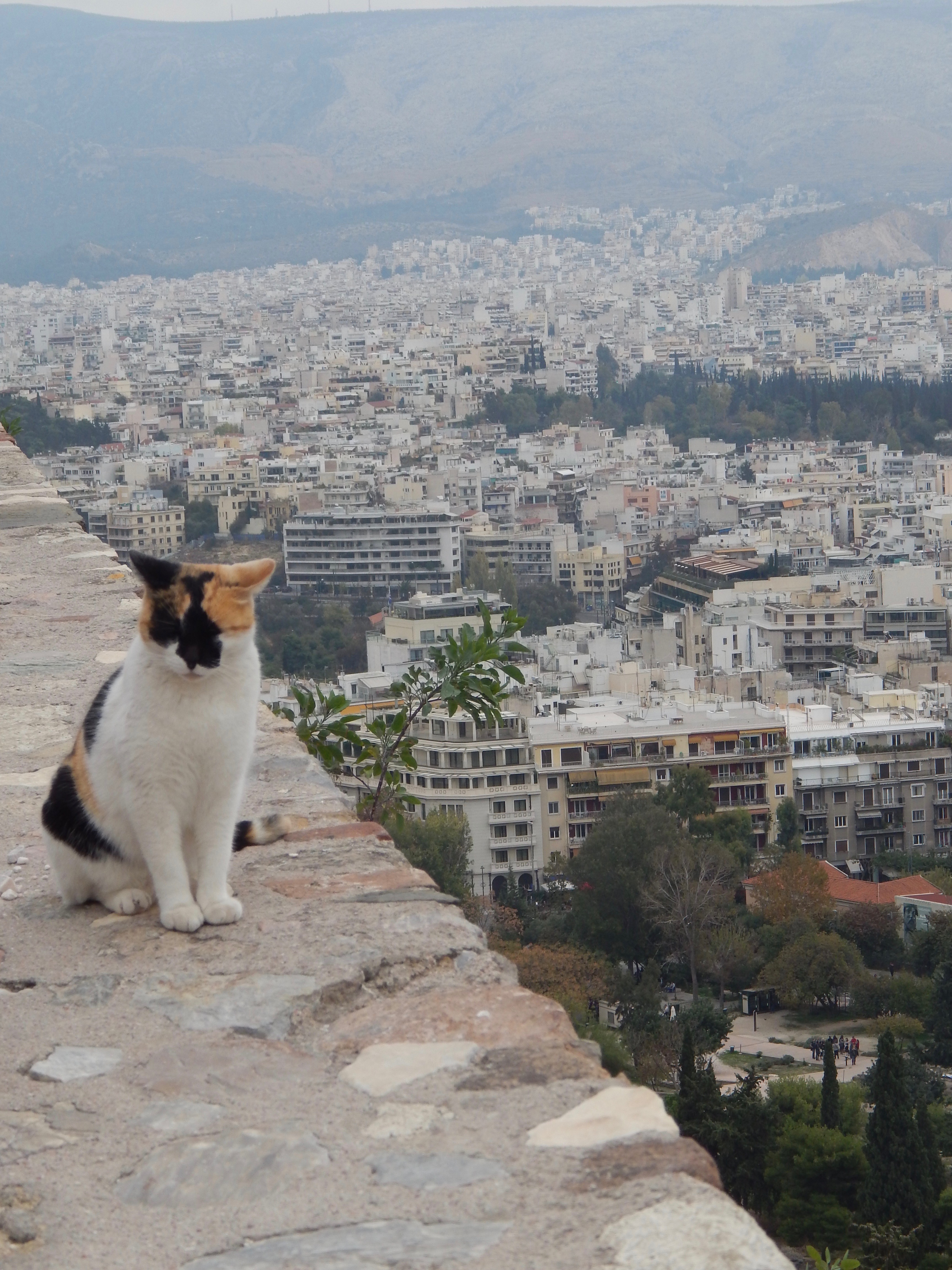 Opa! Exploring Athens