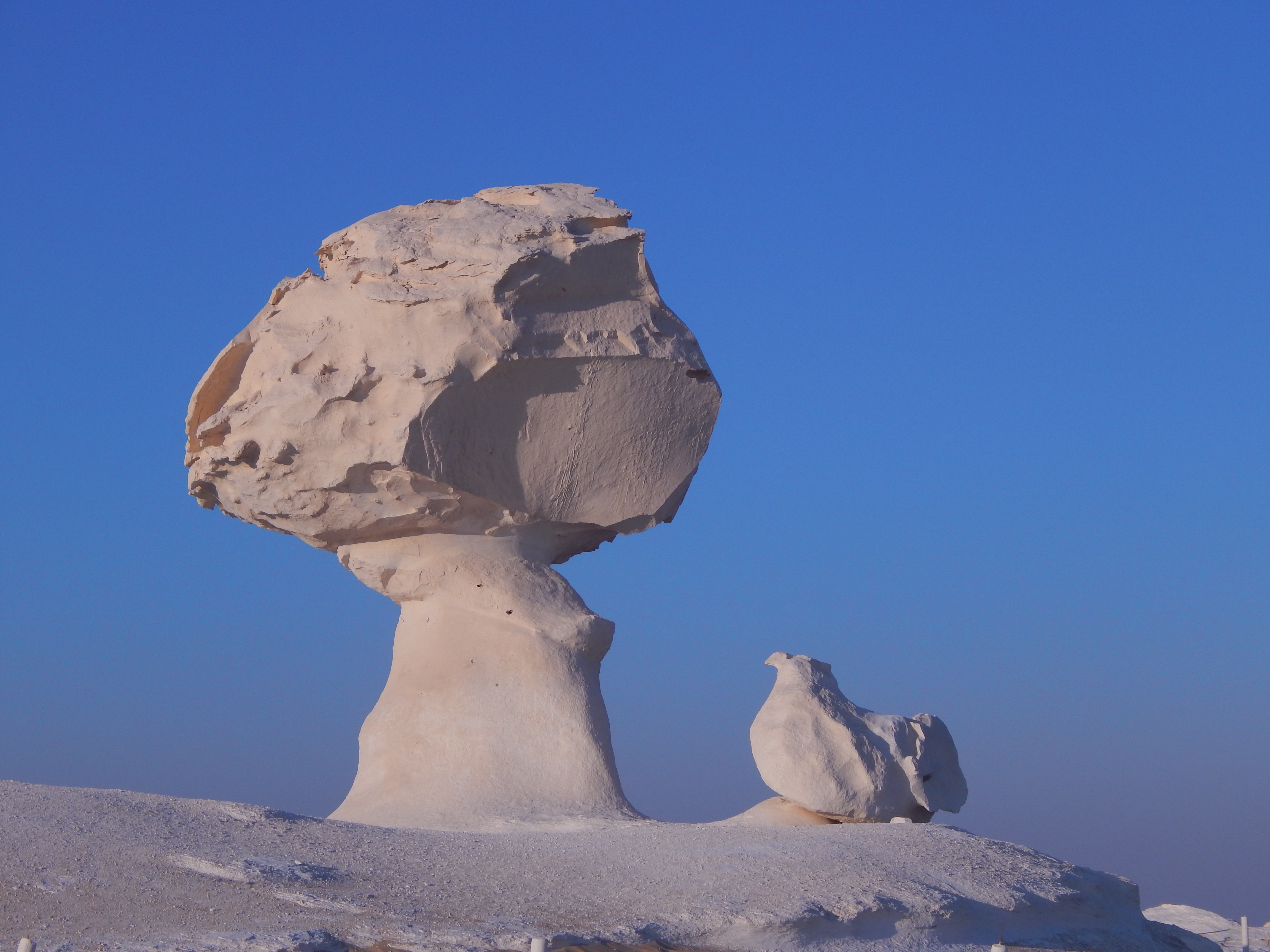 Exploring the Deserts of Egypt